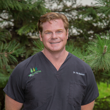 photo of Dr.Balwdwin